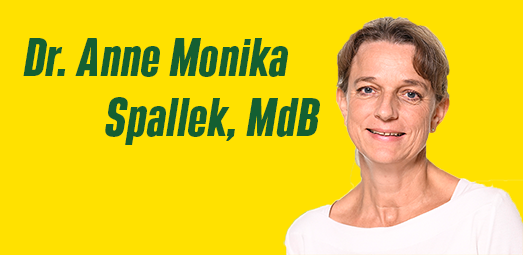 Dr. Anne Monika Spallek, MdB